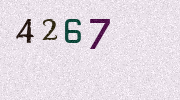 Visual Confirmation Security Code