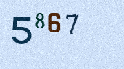 Visual Confirmation Security Code