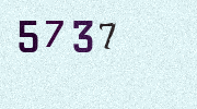 Visual Confirmation Security Code