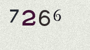 Visual Confirmation Security Code