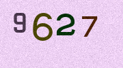 Visual Confirmation Security Code