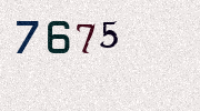 Visual Confirmation Security Code