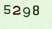 Visual Confirmation Security Code