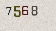 Visual Confirmation Security Code