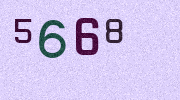 Visual Confirmation Security Code