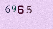 Visual Confirmation Security Code