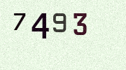 Visual Confirmation Security Code