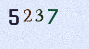 Visual Confirmation Security Code