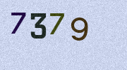 Visual Confirmation Security Code