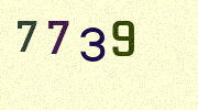 Visual Confirmation Security Code