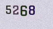 Visual Confirmation Security Code