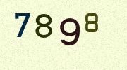 Visual Confirmation Security Code