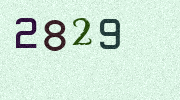 Visual Confirmation Security Code