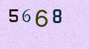 Visual Confirmation Security Code