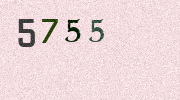Visual Confirmation Security Code
