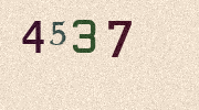 Visual Confirmation Security Code