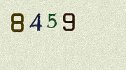 Visual Confirmation Security Code