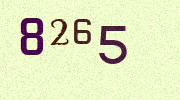 Visual Confirmation Security Code