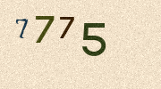 Visual Confirmation Security Code