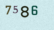 Visual Confirmation Security Code