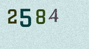 Visual Confirmation Security Code