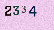 Visual Confirmation Security Code