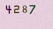 Visual Confirmation Security Code