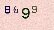 Visual Confirmation Security Code
