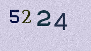 Visual Confirmation Security Code