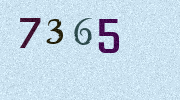 Visual Confirmation Security Code