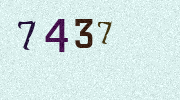 Visual Confirmation Security Code