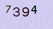 Visual Confirmation Security Code