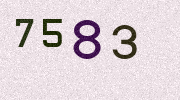 Visual Confirmation Security Code