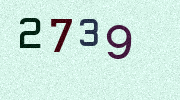 Visual Confirmation Security Code