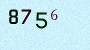 Visual Confirmation Security Code