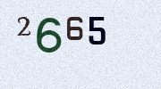 Visual Confirmation Security Code