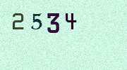 Visual Confirmation Security Code