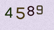 Visual Confirmation Security Code