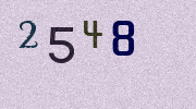 Visual Confirmation Security Code
