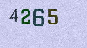 Visual Confirmation Security Code