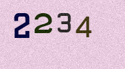Visual Confirmation Security Code