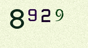 Visual Confirmation Security Code