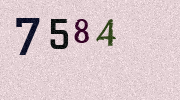Visual Confirmation Security Code
