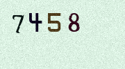 Visual Confirmation Security Code