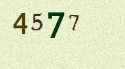 Visual Confirmation Security Code