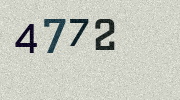 Visual Confirmation Security Code