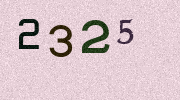 Visual Confirmation Security Code