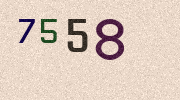 Visual Confirmation Security Code