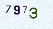 Visual Confirmation Security Code