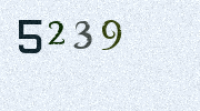 Visual Confirmation Security Code